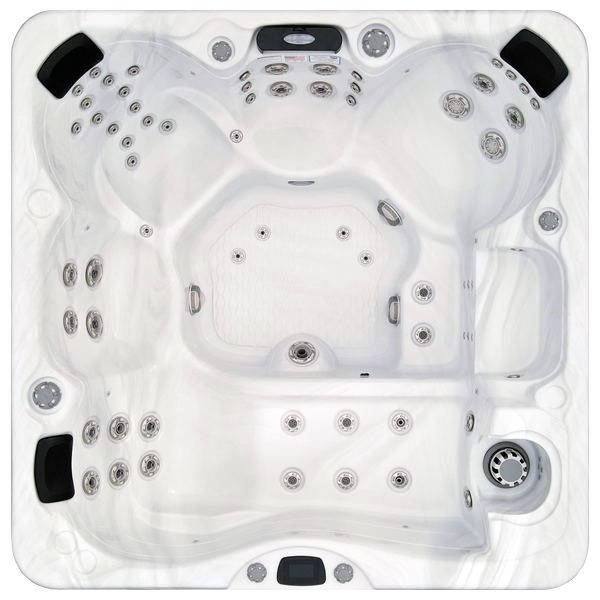 Avalon-X EC-867LX hot tubs for sale in Coquitlam